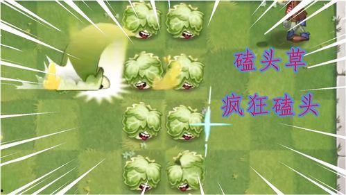 最新 植物爆料视频